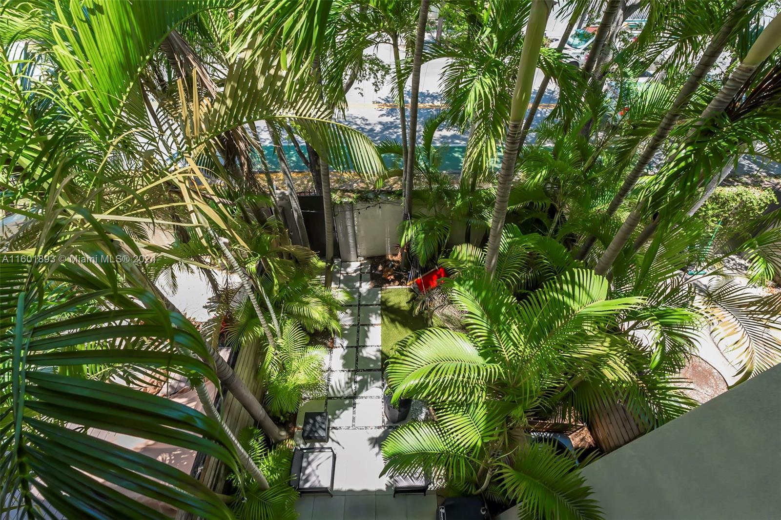 3204 Bird Avenue, Unit 109 Miami, FL 33133 - Photo 42 of 67 a view of a plant in a garden