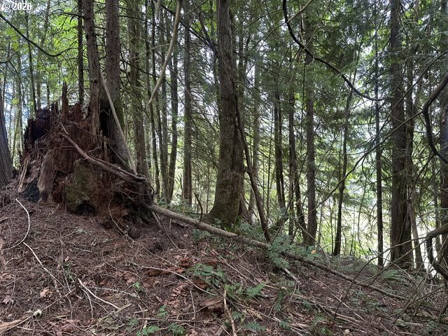H Street Vernonia, OR 97064 - Photo 14 of 21