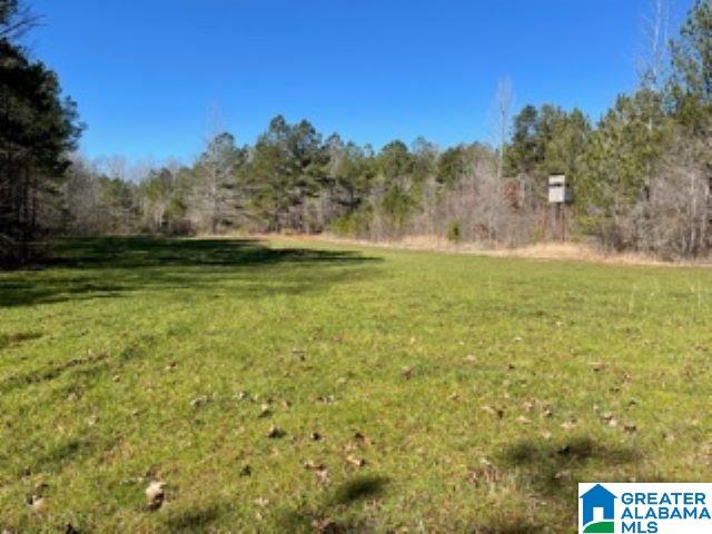 820 County Road, Unit 193 Roanoke, AL 36274 - Photo 3 of 15