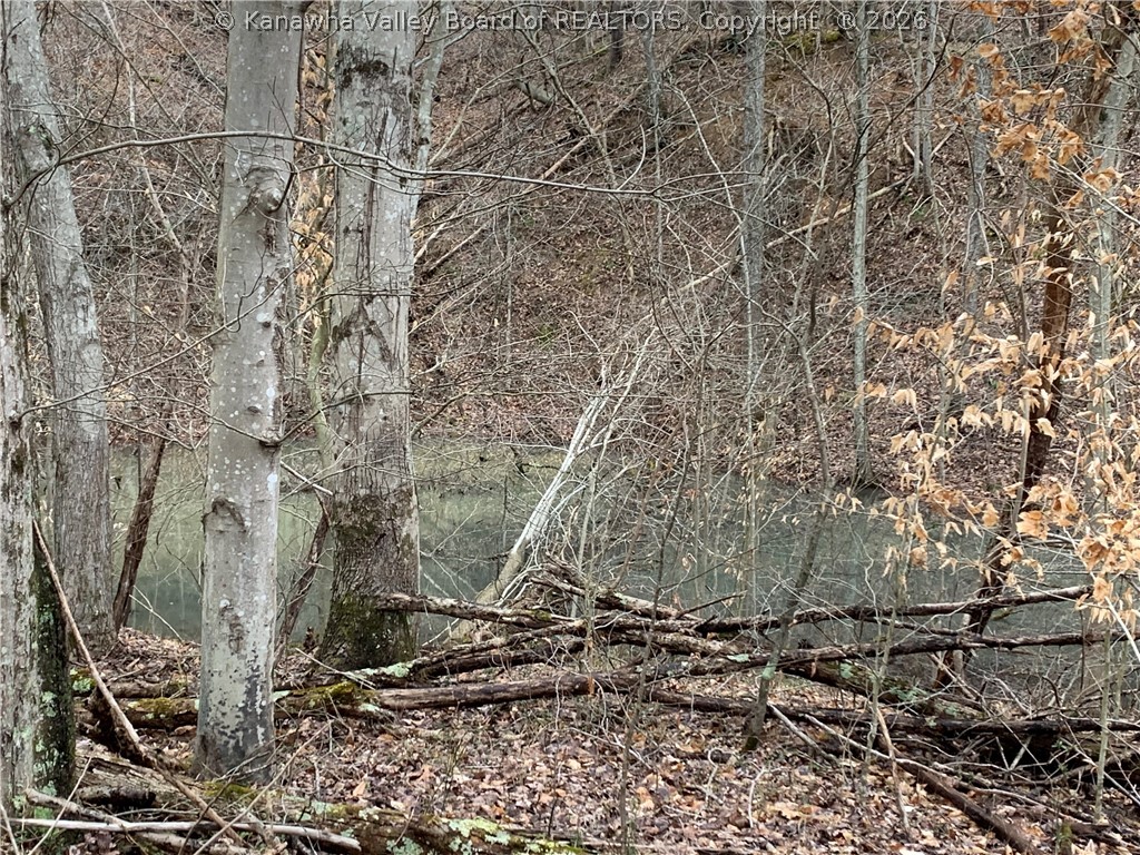 911 Lick Branch Road Poca, WV 25159 - Photo 24 of 24 Gallery Image 24