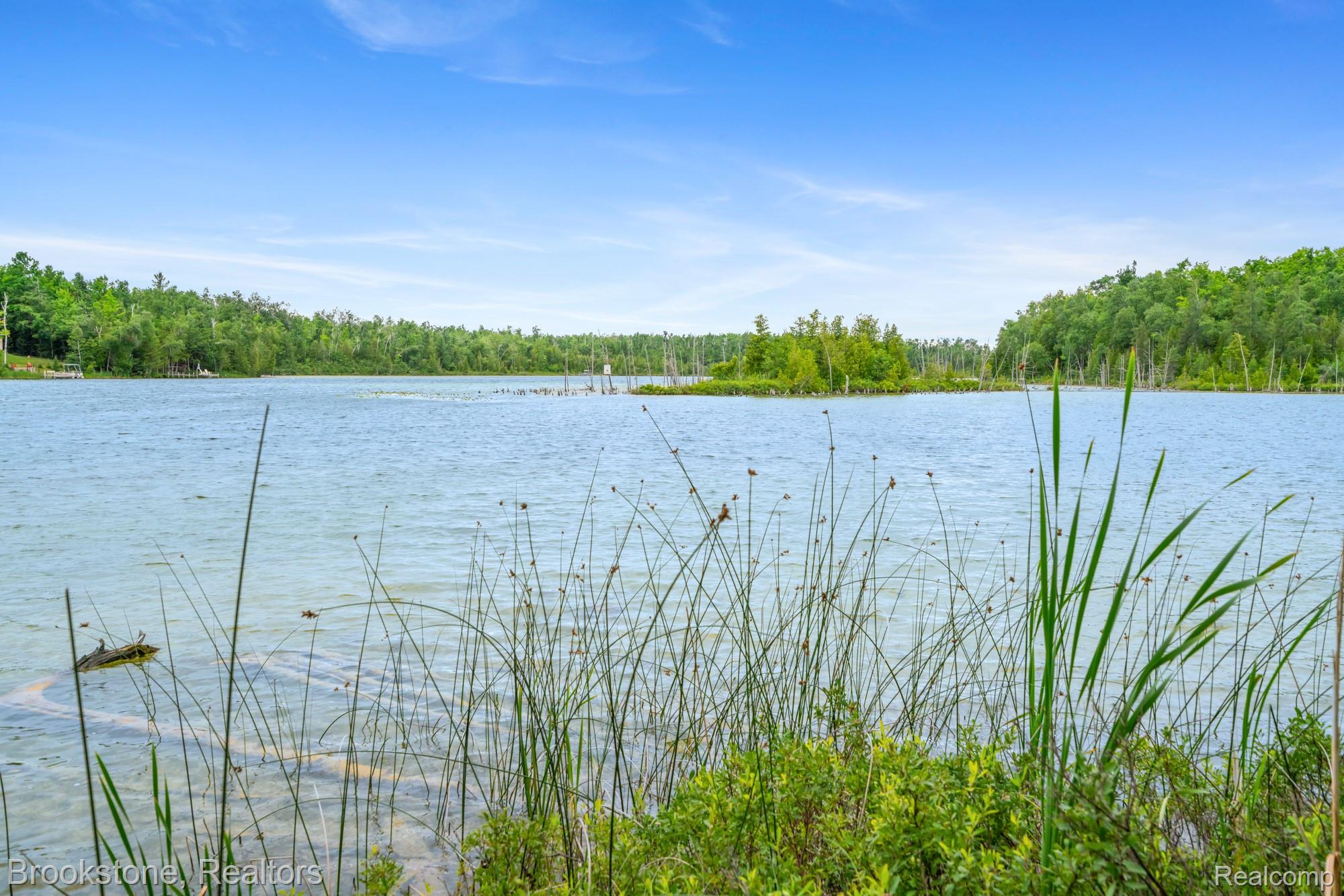 5699 Smith Road Cheboygan, MI 49721 - Photo 20 of 30 Expansive body of water bordered by lush green foliage and mature trees