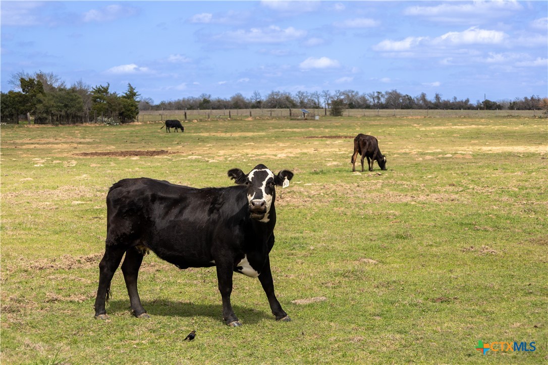 Lot 12 Mule Creek Road Luling, TX 78648 - Photo 1 of 1 Gallery Image 1
