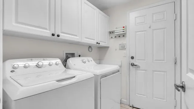 a view of a yard with plants and trees