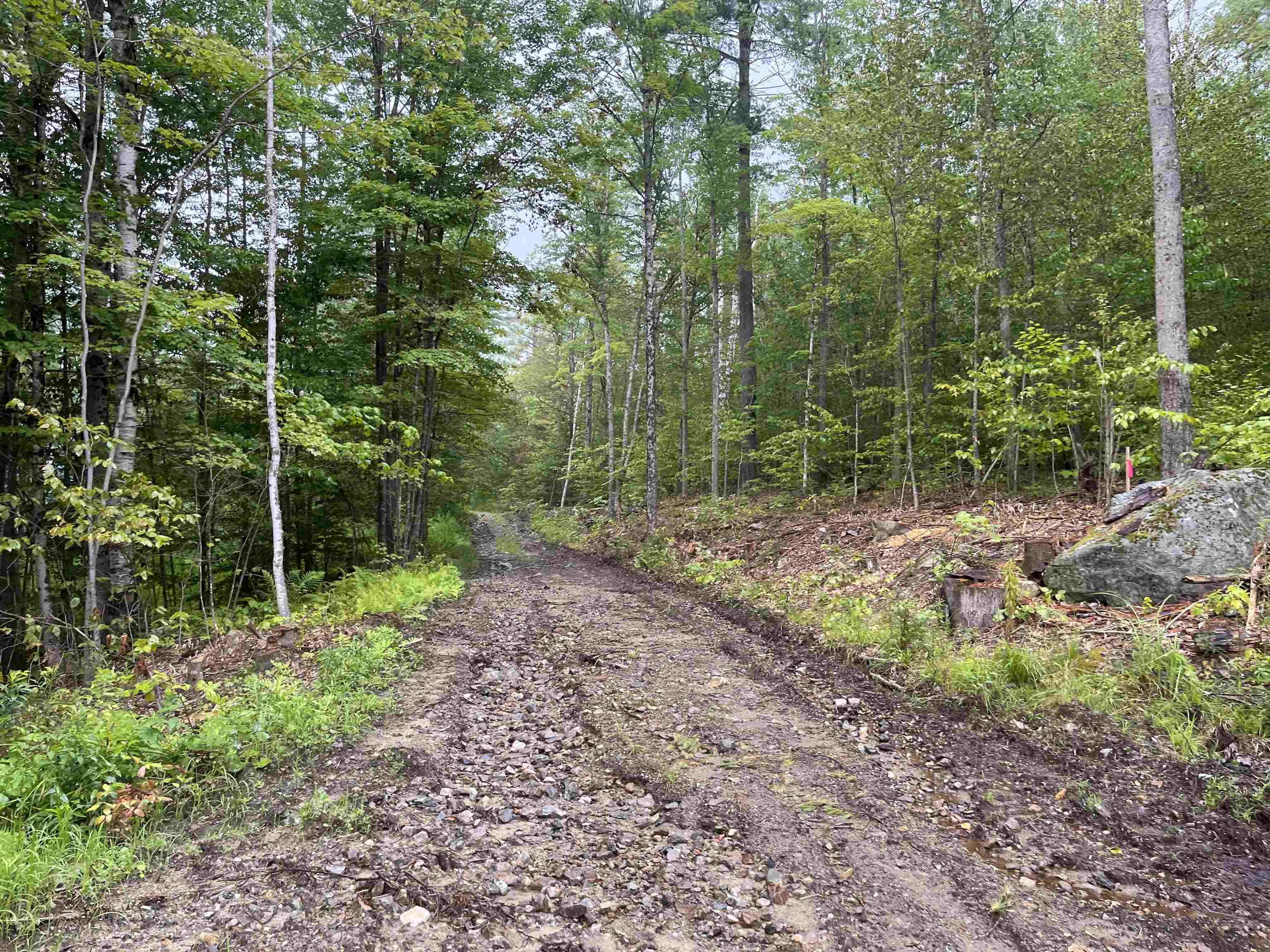 Lot E-2 Lot E-2 Stratton Gate Road Jamaica, VT 05343 - Photo 12 of 16 Gallery Image 12
