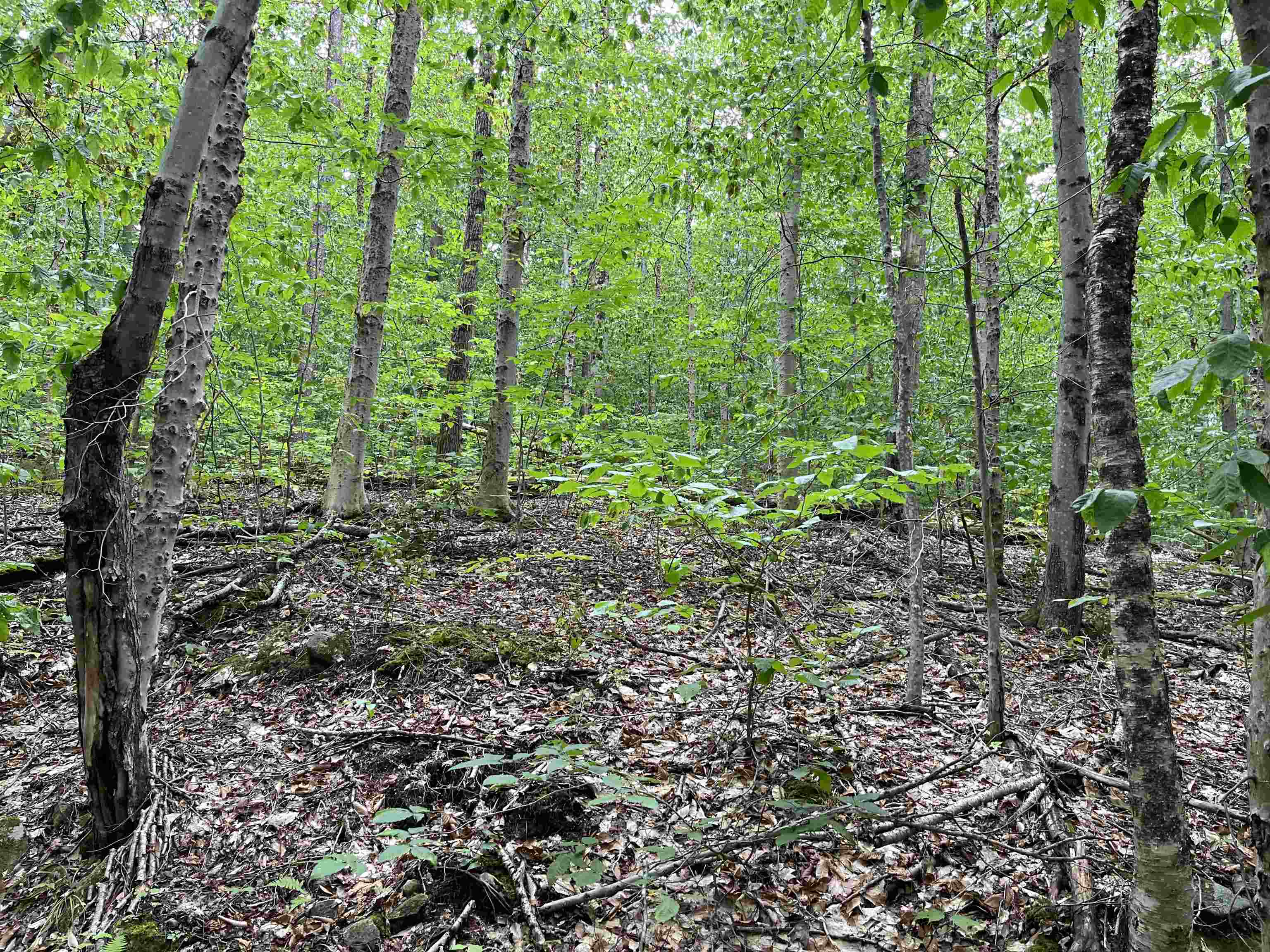 Lot E-2 Lot E-2 Stratton Gate Road Jamaica, VT 05343 - Photo 2 of 16 Gallery Image 2