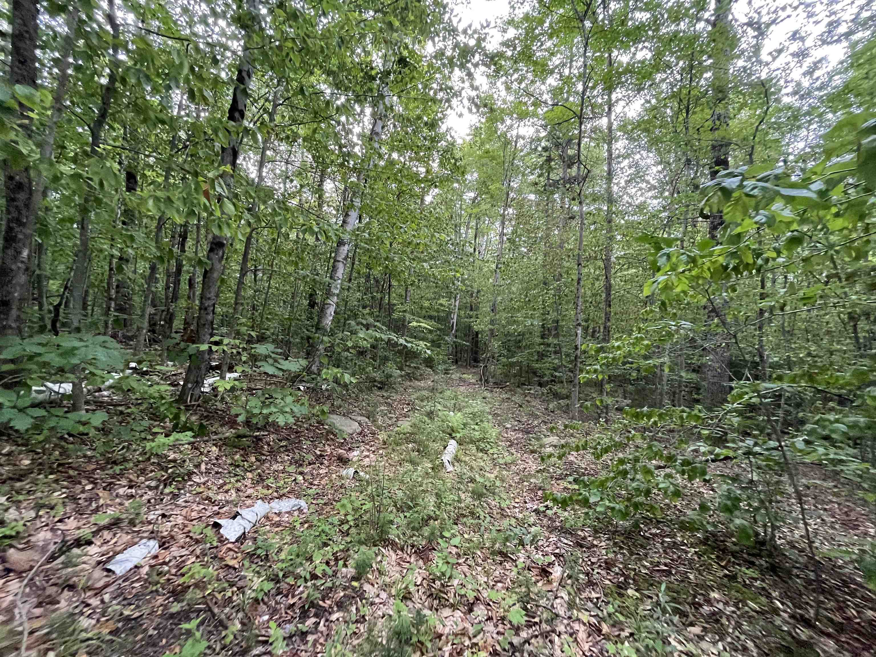 Lot E-2 Lot E-2 Stratton Gate Road Jamaica, VT 05343 - Photo 3 of 16 Gallery Image 3