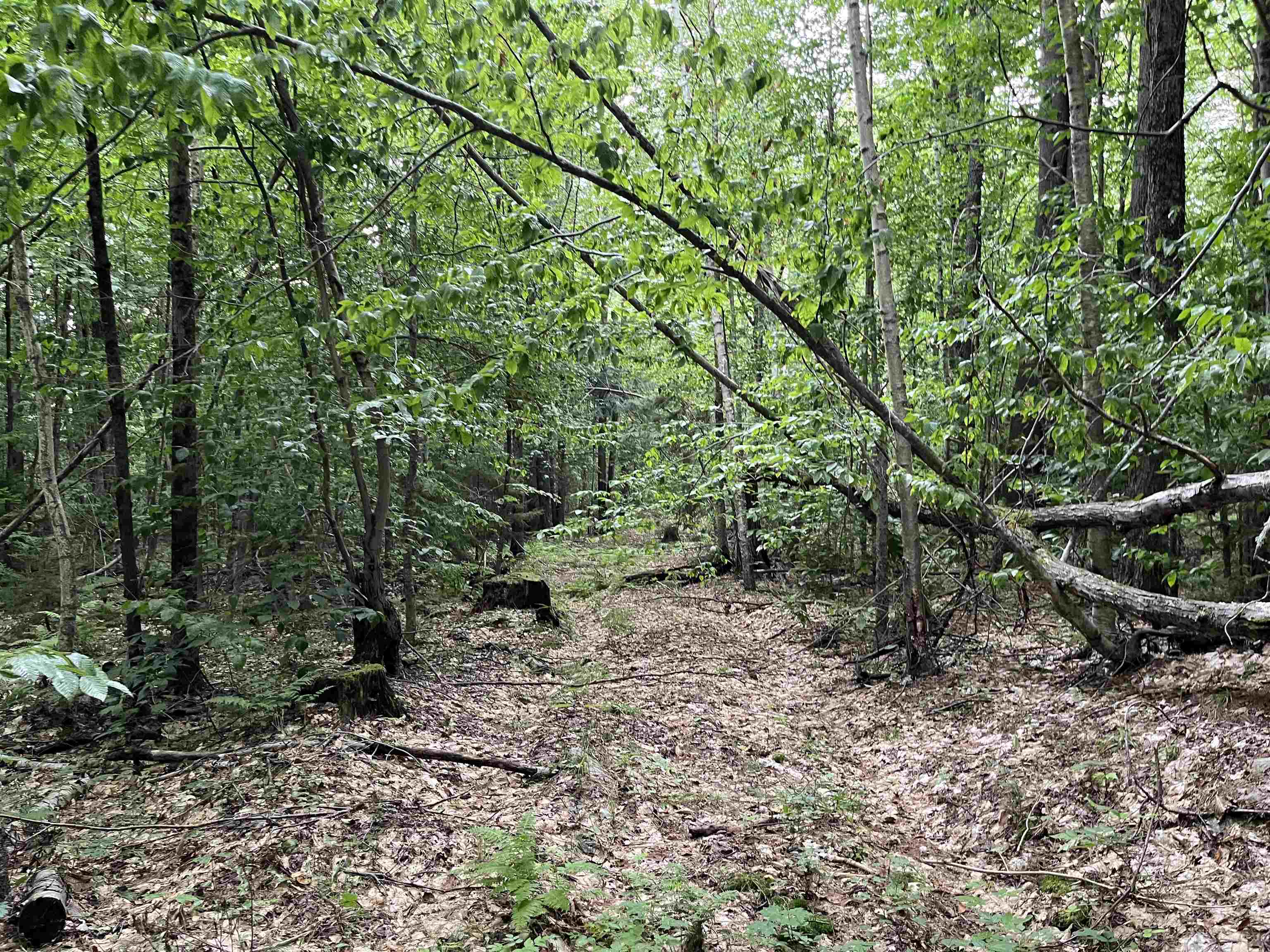 Lot E-2 Lot E-2 Stratton Gate Road Jamaica, VT 05343 - Photo 6 of 16 Gallery Image 6