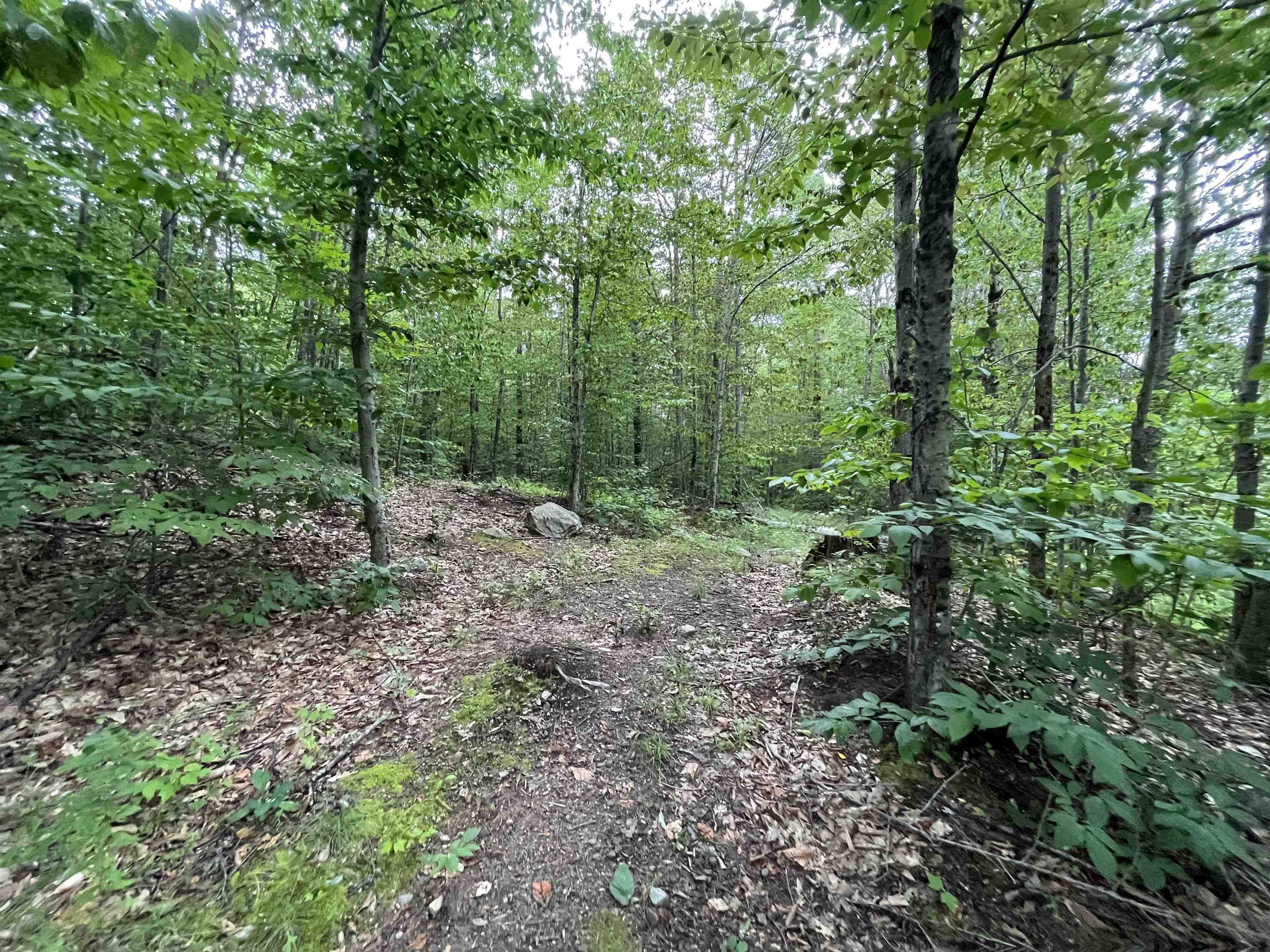Lot E-2 Lot E-2 Stratton Gate Road Jamaica, VT 05343 - Photo 7 of 16 Gallery Image 7