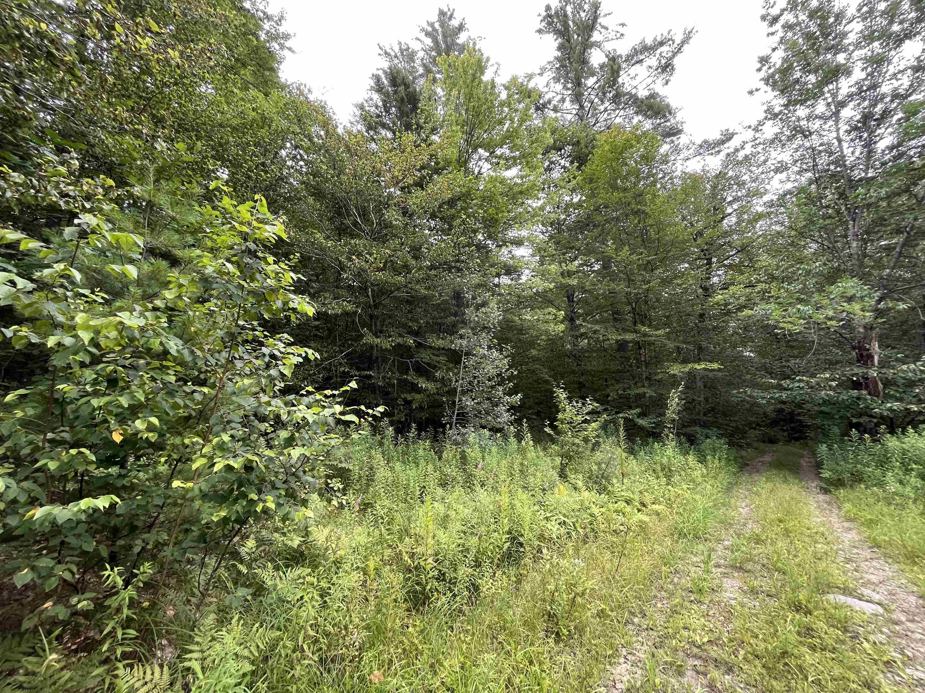 Lot E-2 Lot E-2 Stratton Gate Road Jamaica, VT 05343 - Photo 8 of 16 Gallery Image 8