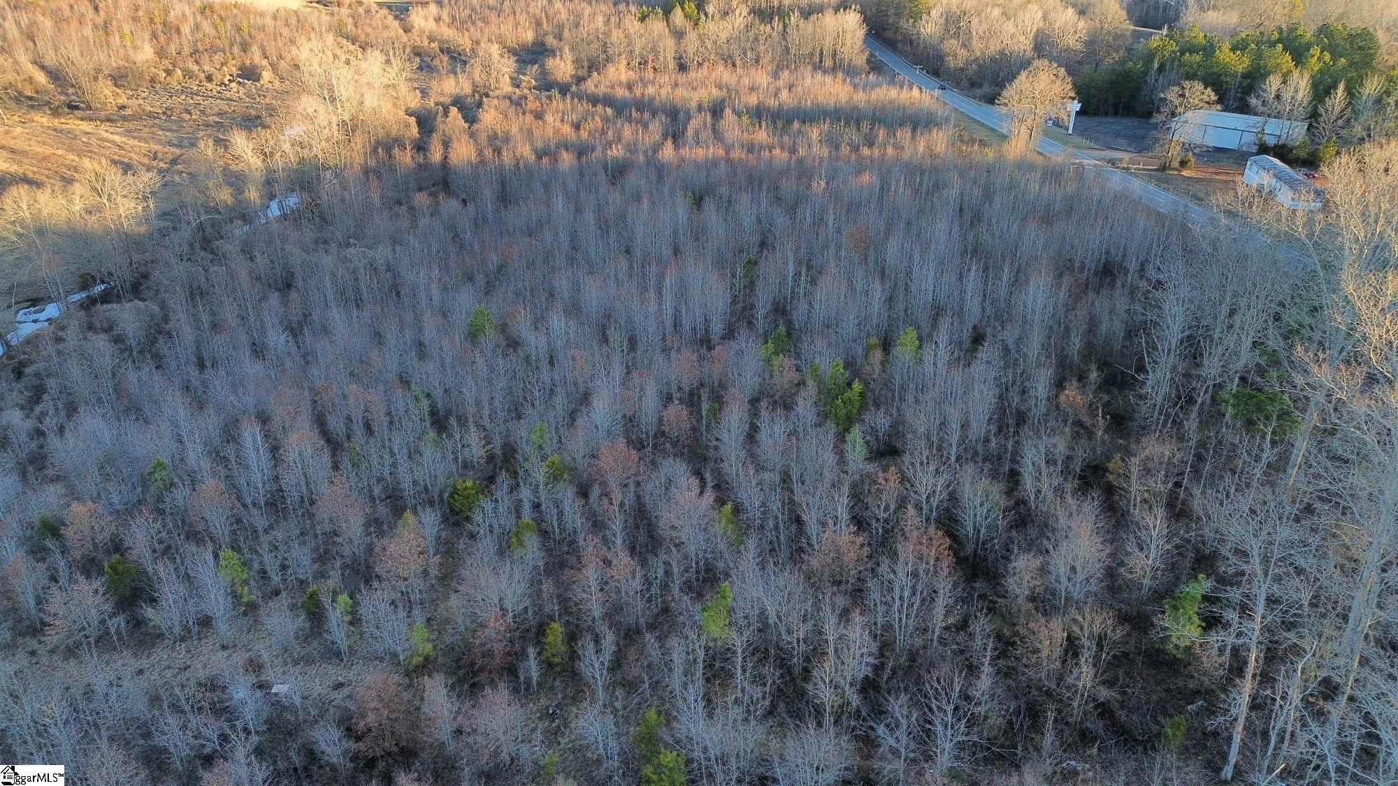 1063 Rutherfordton Highway Chesnee, SC 29323 - Photo 8 of 12