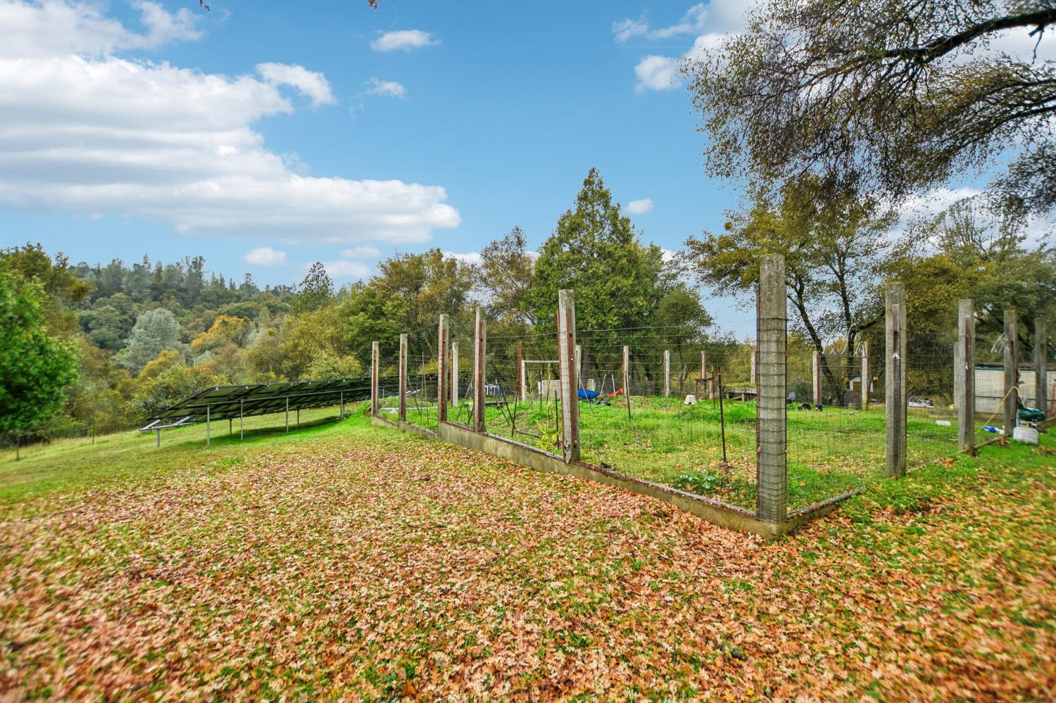 7650 Buzzards Gulch Road Somerset, CA 95684 - Photo 36 of 39 a view of a backyard with green space