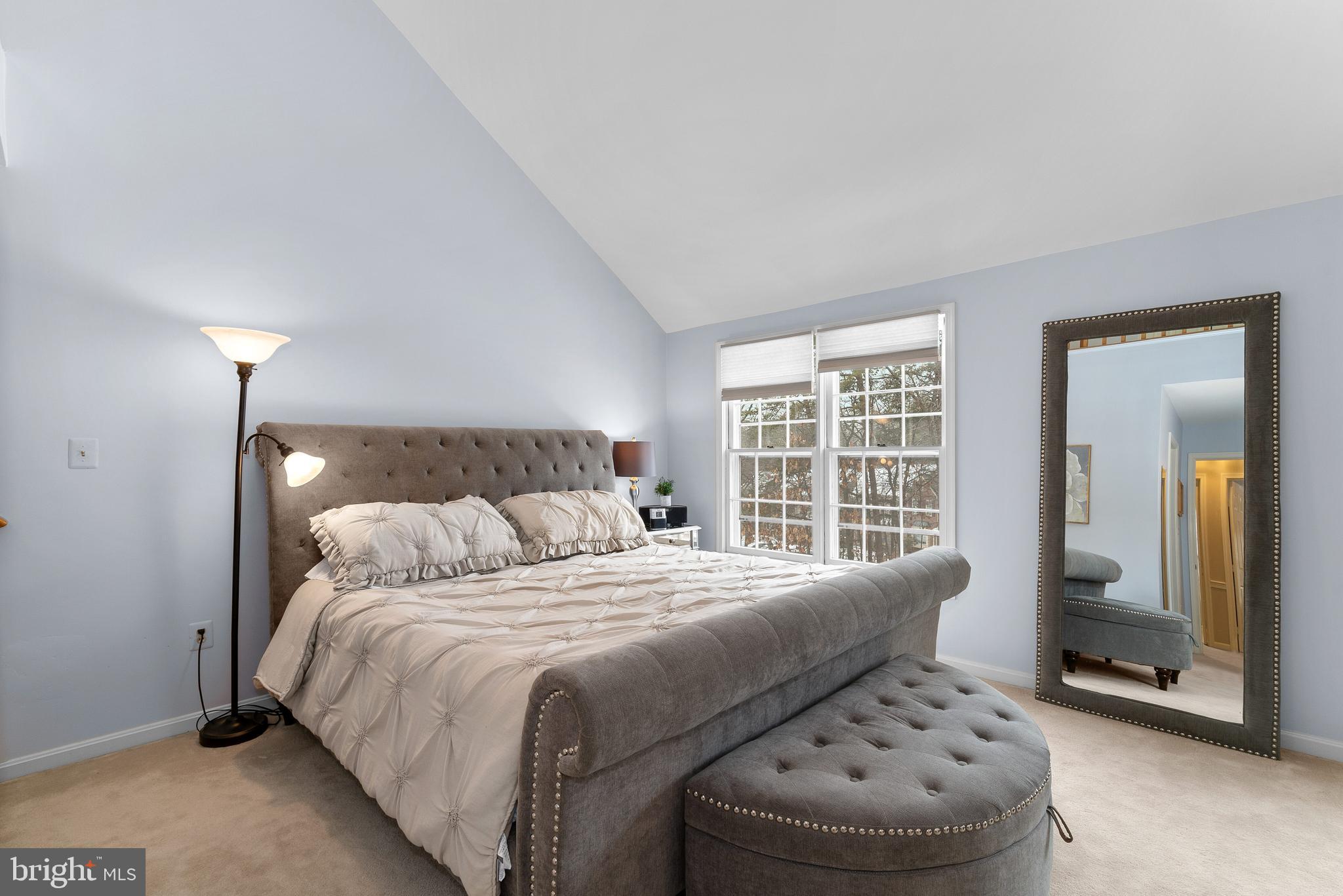 11713 Great Owl Circle Reston, VA 20194 - Photo 16 of 43 Vaulted Ceiling in Owners Suite