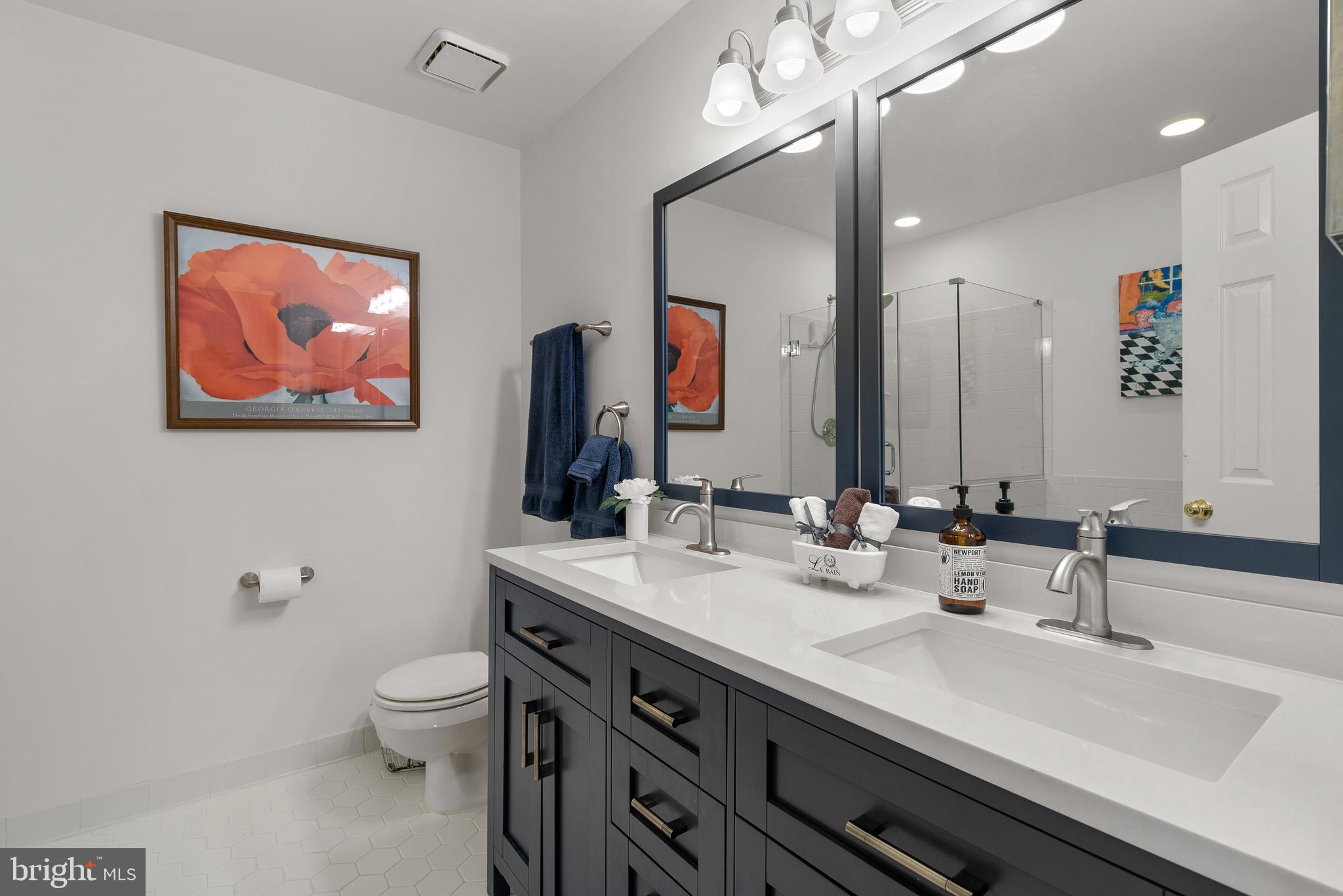 11713 Great Owl Circle Reston, VA 20194 - Photo 21 of 43 Gorgeous New Navy Dual Sink Quartz Vanity