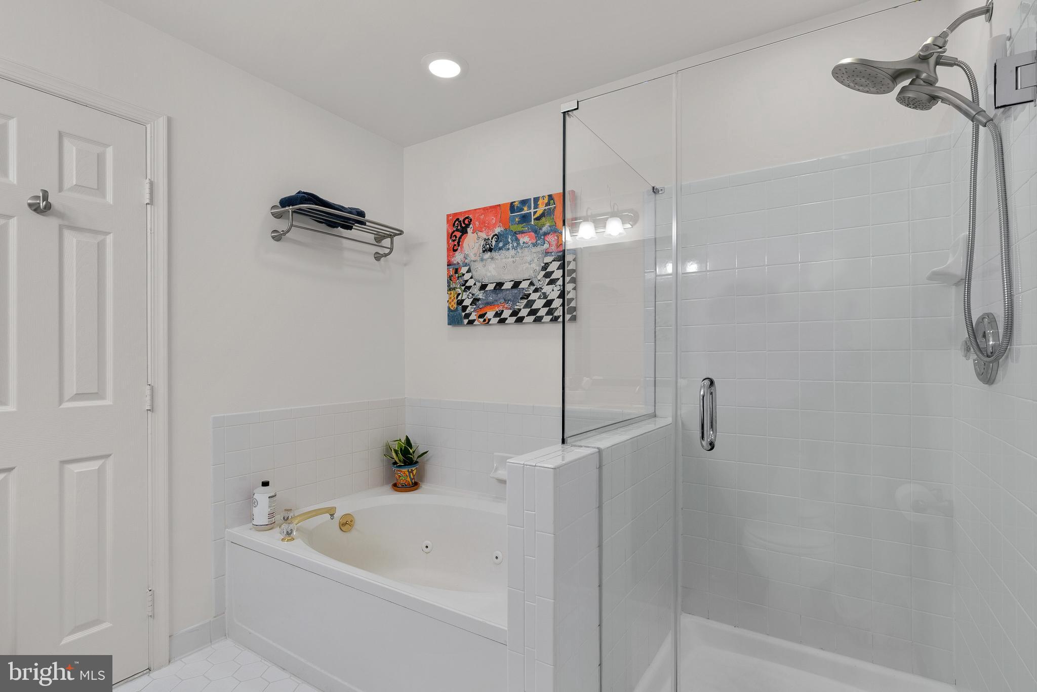 11713 Great Owl Circle Reston, VA 20194 - Photo 23 of 43 New Frameless Glass Shower Surround