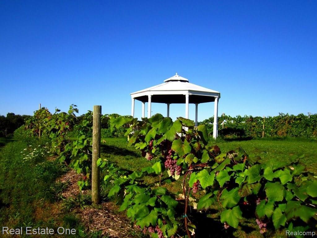 11044 Faussett Road Fenton, MI 48430 - Photo 45 of 46 Spicer Orchards Winery & Tasting
