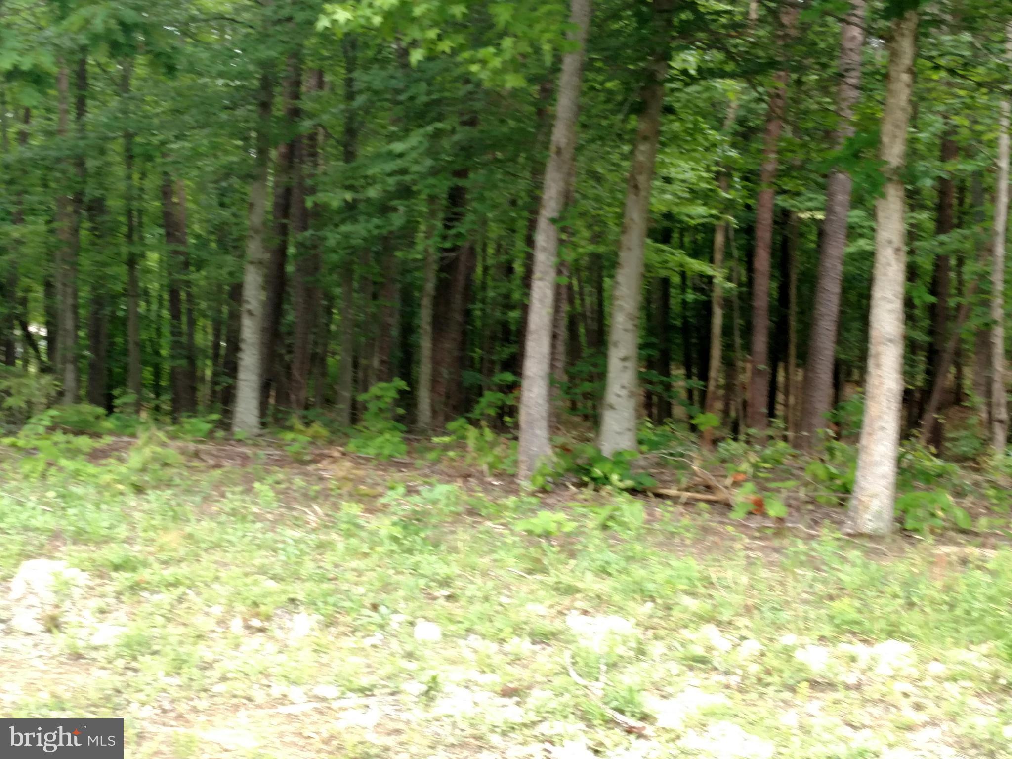 39 Elnor Road Bumpass, VA 23024 - Photo 1 of 2 View