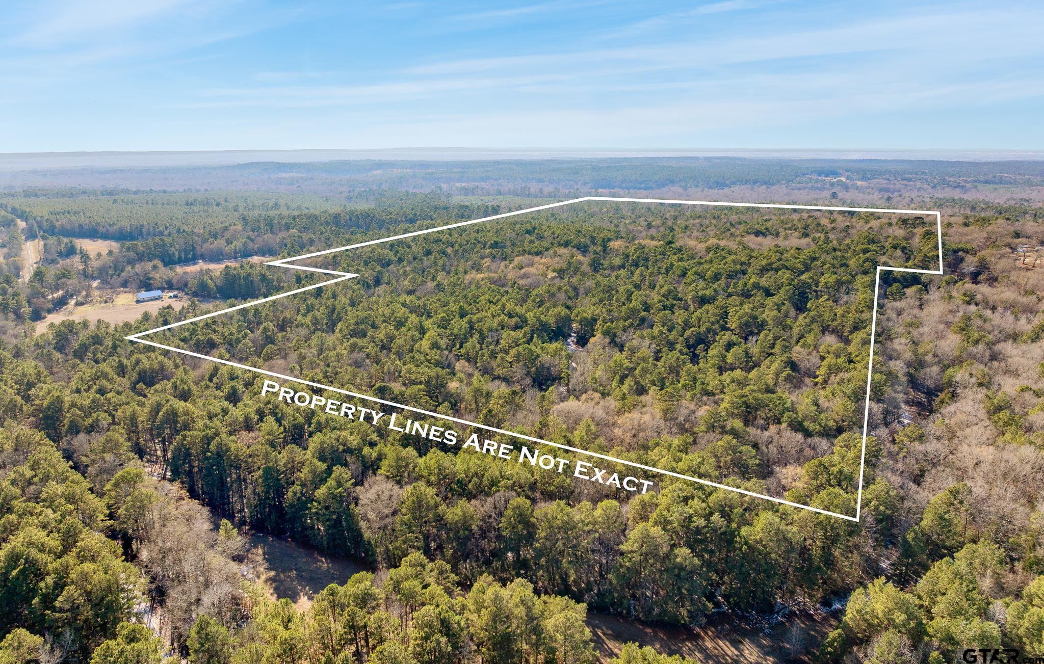 a view of a lake with a city skyline