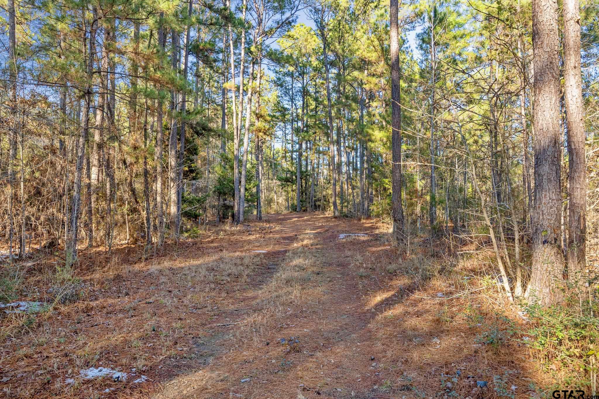 2126 County Road 2126 Rusk, TX 75785 - Photo 11 of 18 a view of outdoor space and trees