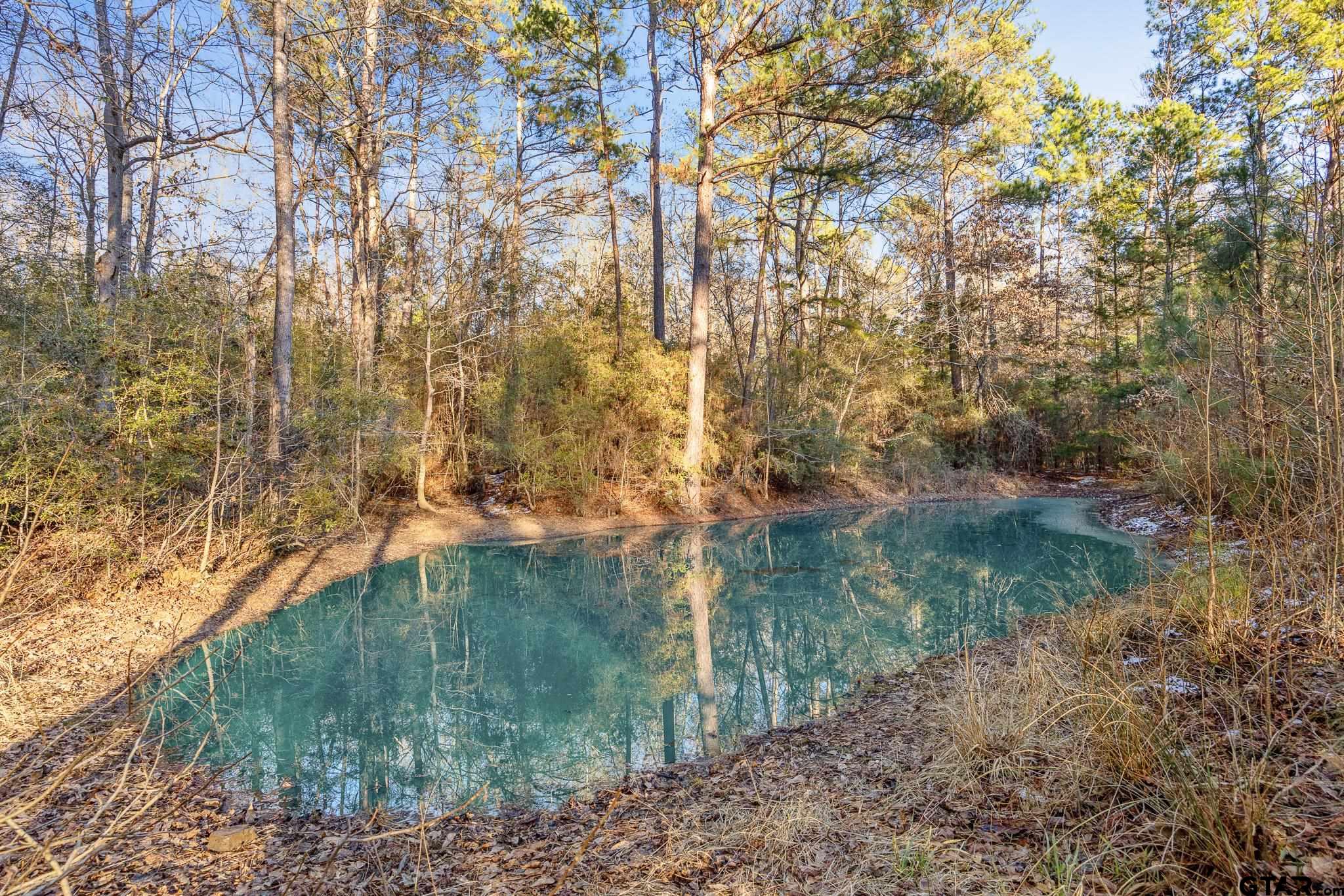 2126 County Road 2126 Rusk, TX 75785 - Photo 13 of 18 a backyard of a house with lots of green space
