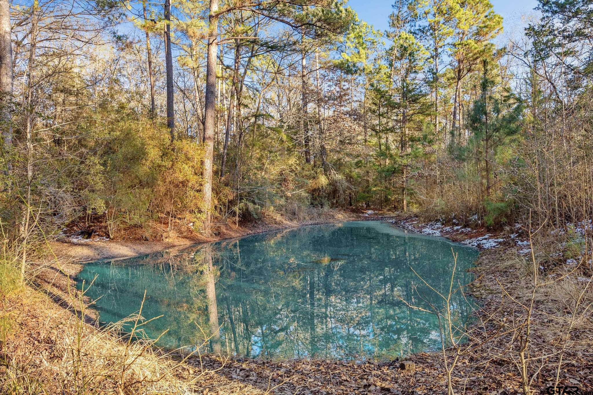 2126 County Road 2126 Rusk, TX 75785 - Photo 14 of 18 a view of a garden