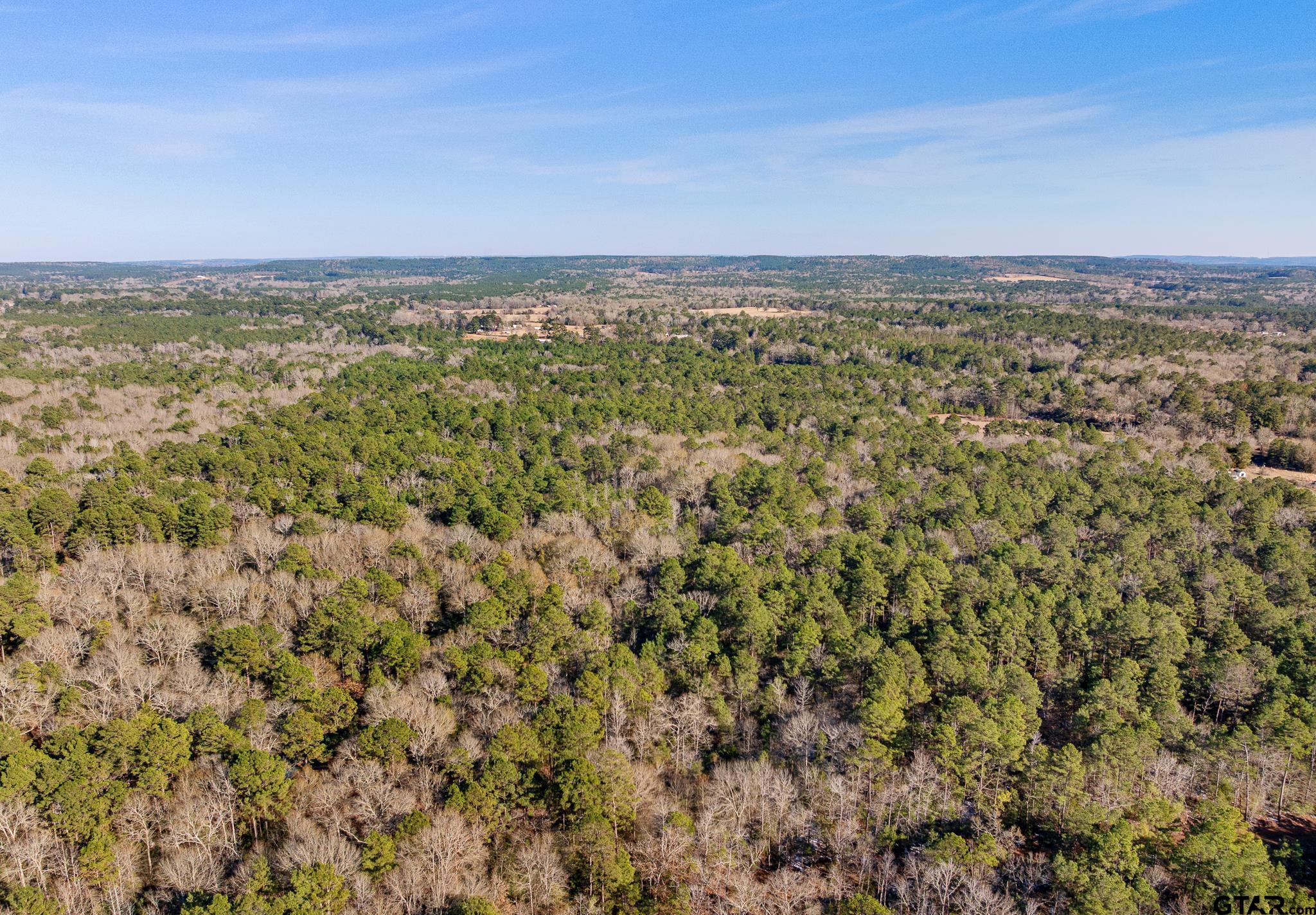 2126 County Road 2126 Rusk, TX 75785 - Photo 15 of 18 an aerial view of houses with yard