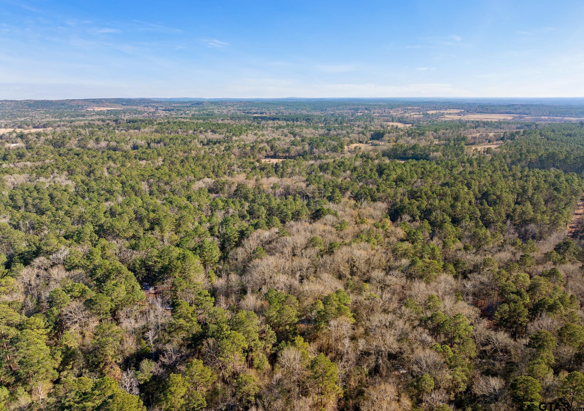 2126 County Road 2126 Rusk, TX 75785 - Photo 16 of 18 a view of a city with lush green forest