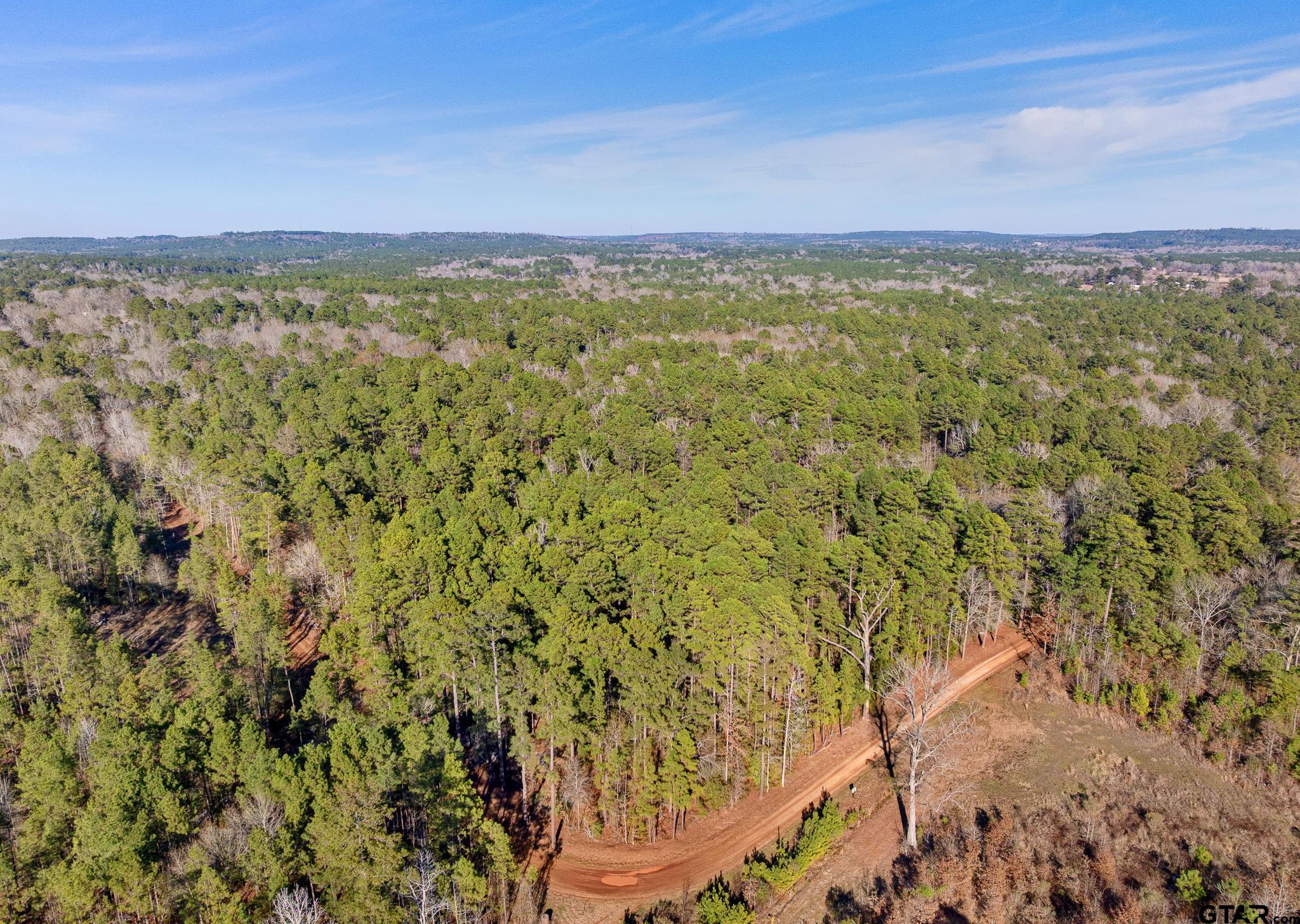 2126 County Road 2126 Rusk, TX 75785 - Photo 17 of 18 a view of an ocean