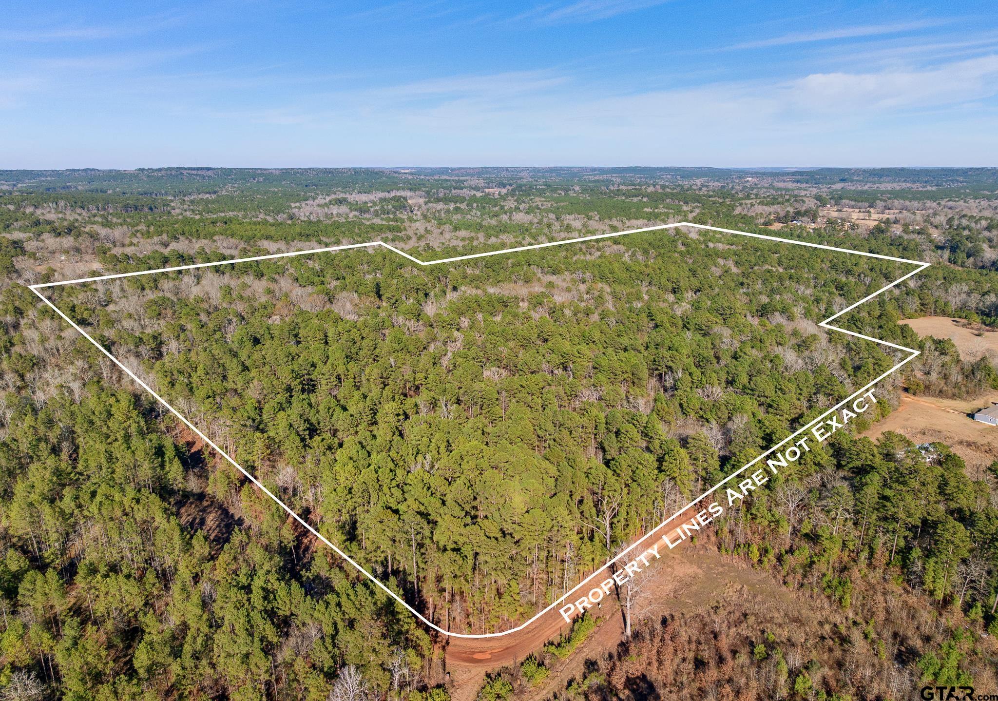 2126 County Road 2126 Rusk, TX 75785 - Photo 18 of 18 a view of an ocean from a balcony