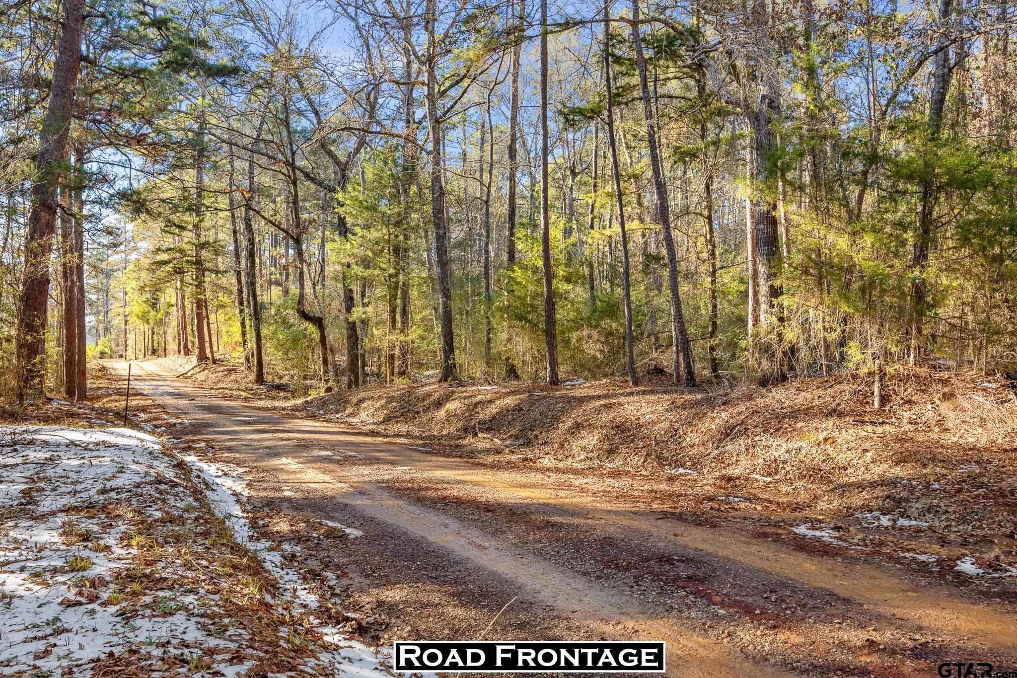 2126 County Road 2126 Rusk, TX 75785 - Photo 2 of 18 a view of a backyard of the house