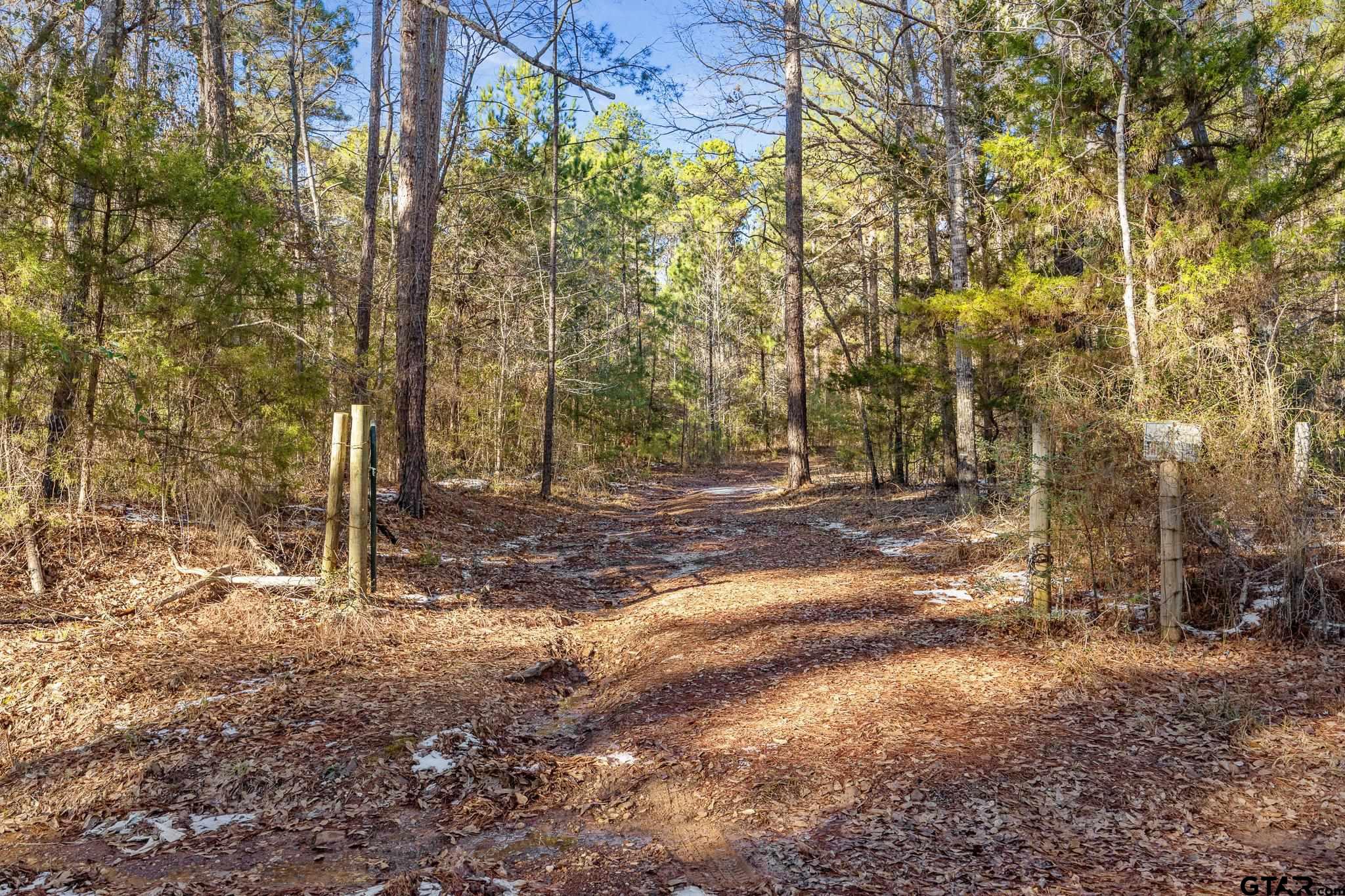 2126 County Road 2126 Rusk, TX 75785 - Photo 4 of 18 a view of a yard with trees