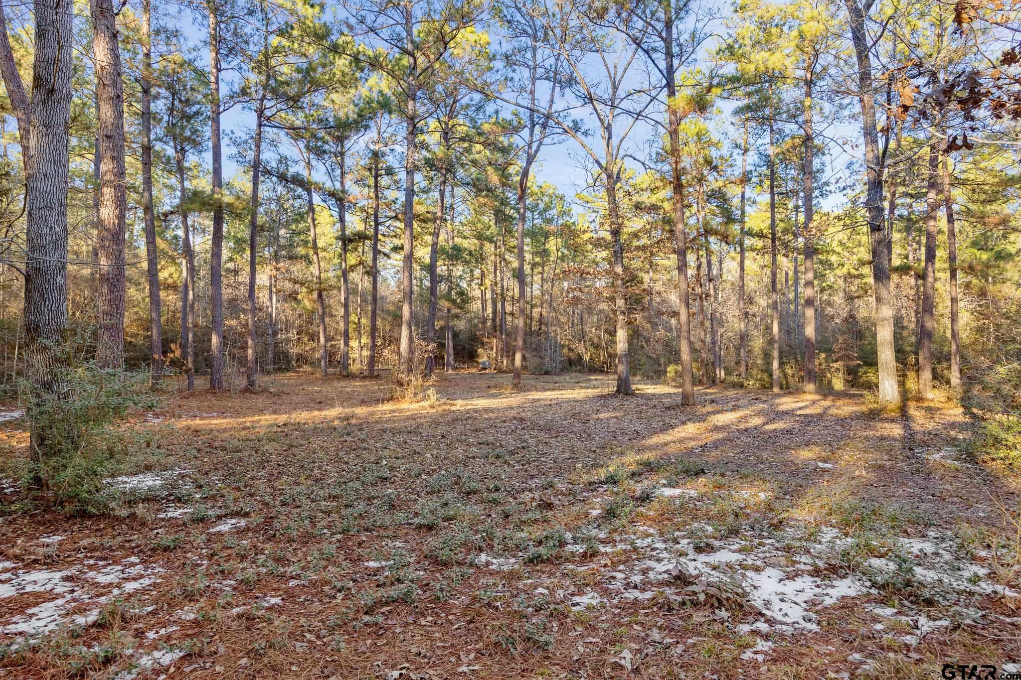 2126 County Road 2126 Rusk, TX 75785 - Photo 5 of 18 a view of yard with trees