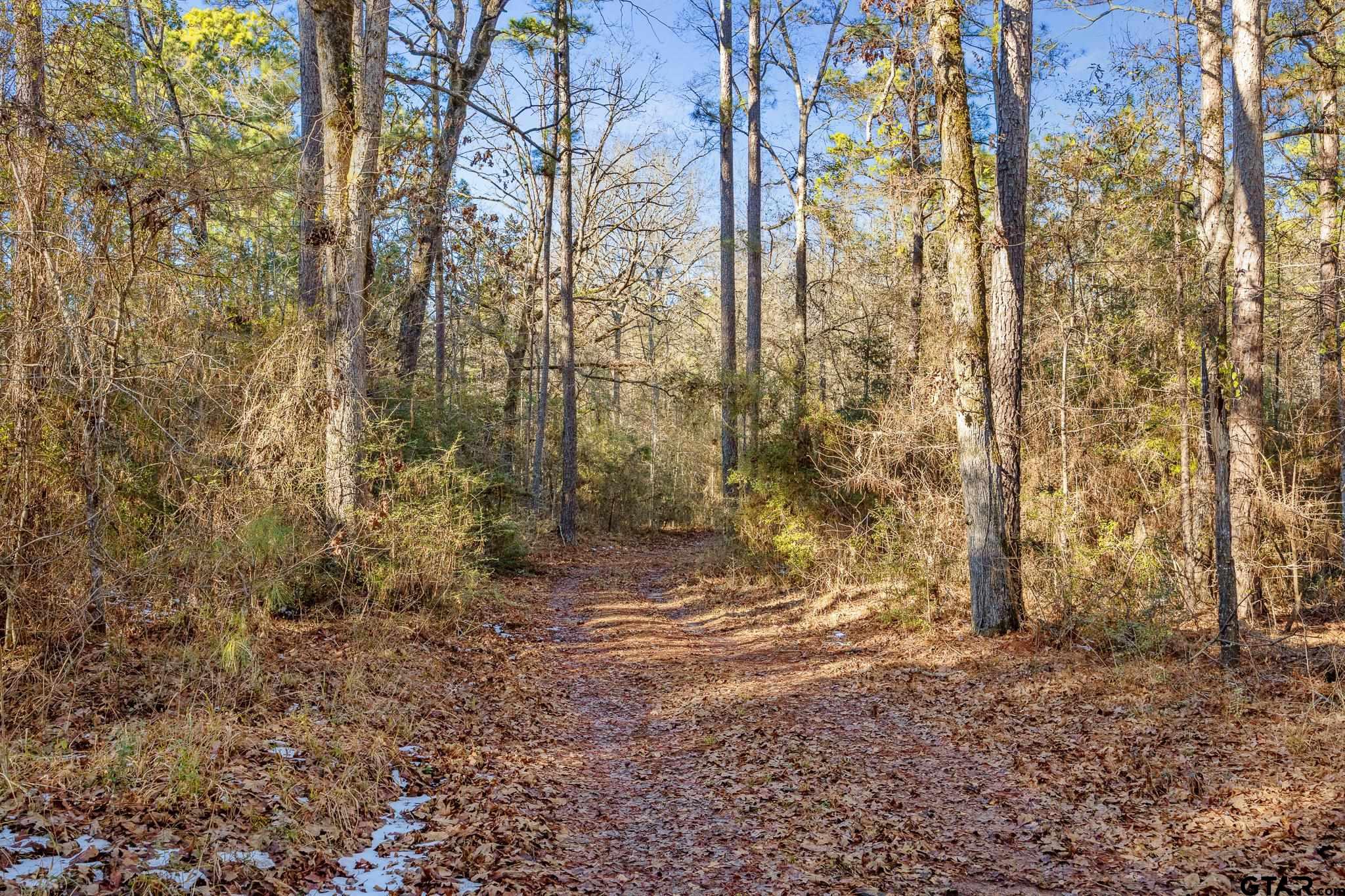 2126 County Road 2126 Rusk, TX 75785 - Photo 8 of 18 a view of house with backyard