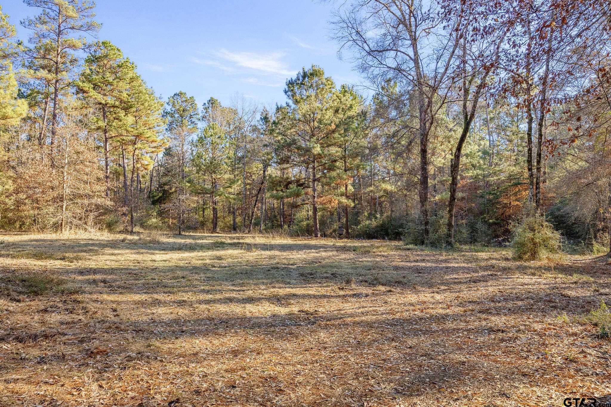 2126 County Road 2126 Rusk, TX 75785 - Photo 9 of 18 a view of a yard with mountain view