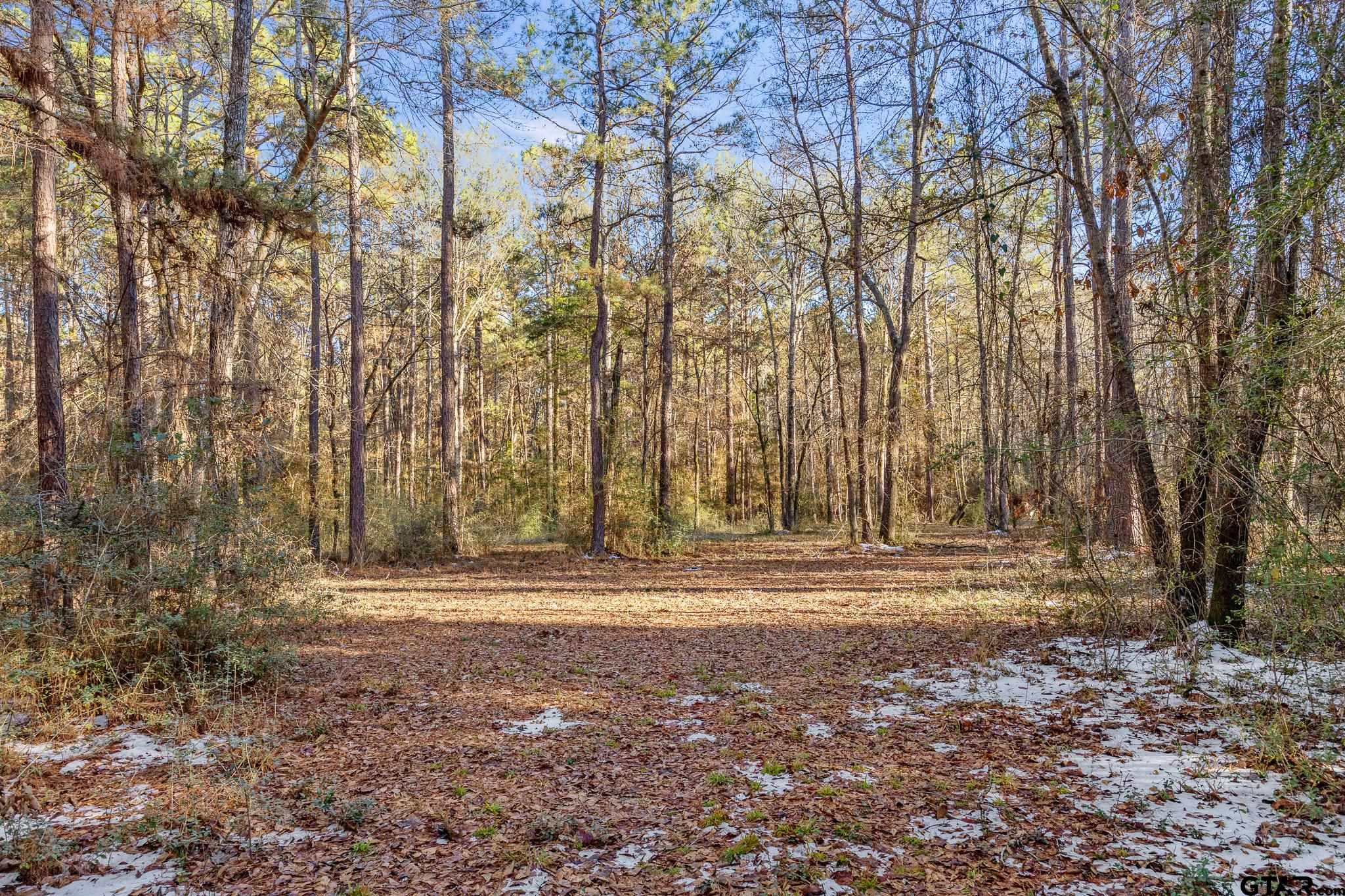 2126 County Road 2126 Rusk, TX 75785 - Photo 10 of 18 a view of outdoor space with trees