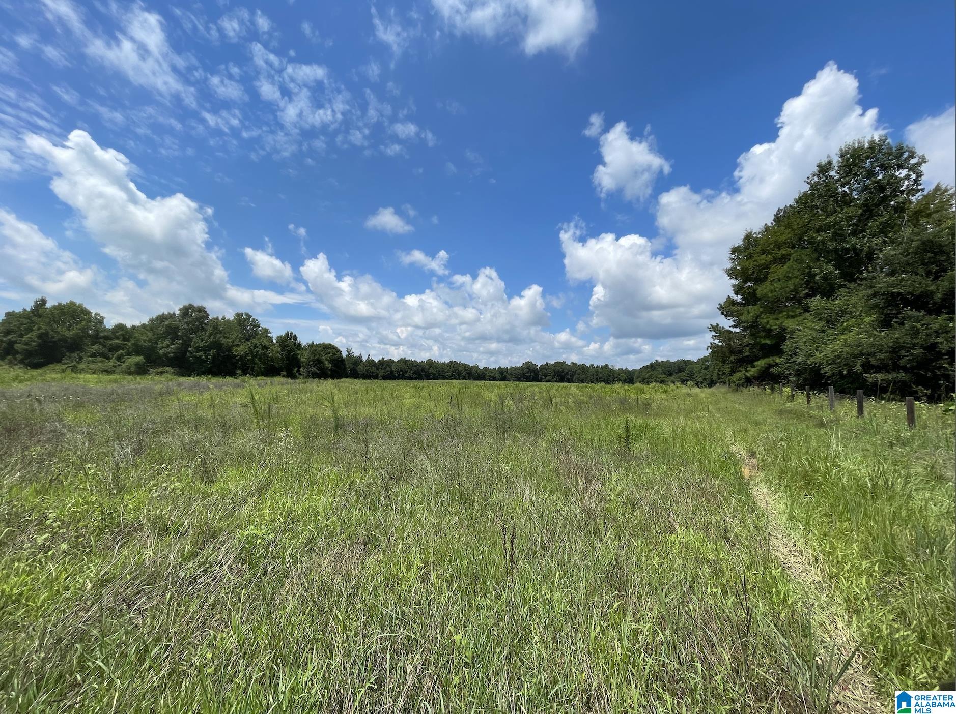 0 Sun Valley Road, Unit 1 Harpersville, AL 35078 - Photo 9 of 9