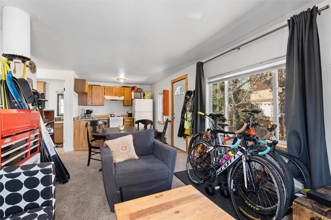 416 Cascade Circle Silverthorne, CO 80498 - Photo 46 of 49 Living area with light colored carpet