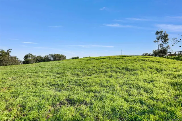 a view of a garden with a building in the background