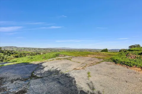 a view of a garden with an ocean