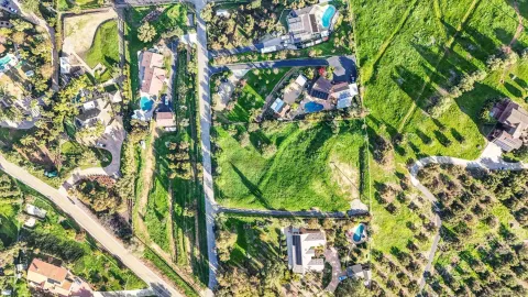a view of a garden with flowers