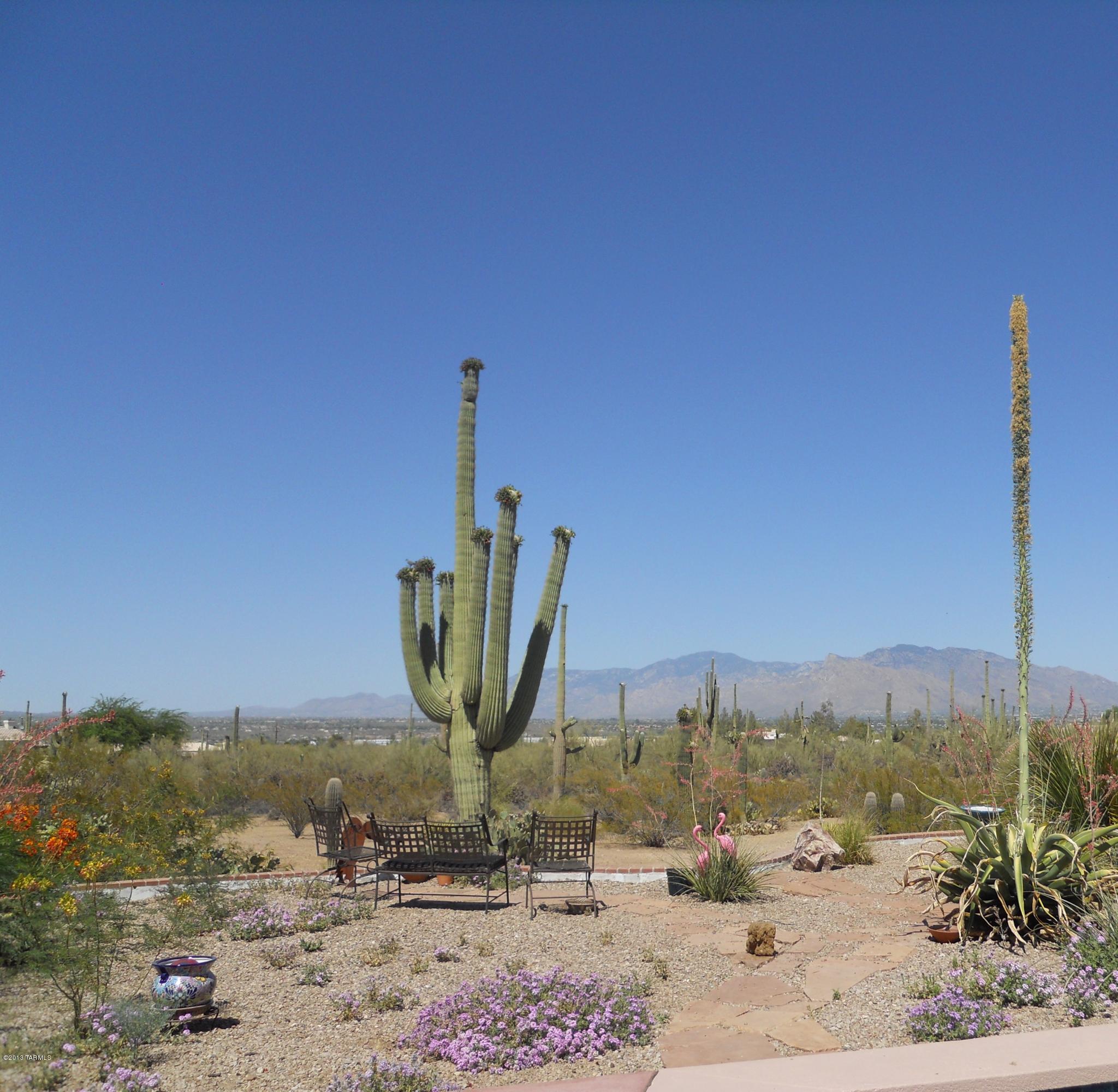 7060 North Wade Road Tucson, AZ 85743 - Photo 11 of 37 Gallery Image 11