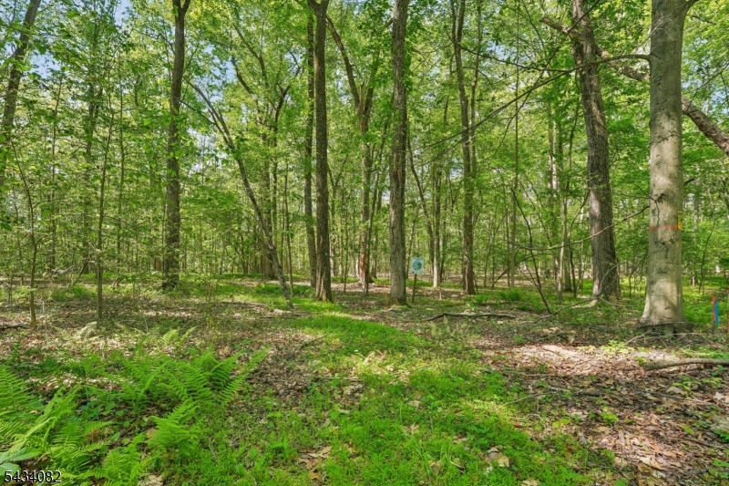 0 Homestead Road Gillette, NJ 07933 - Photo 4 of 26