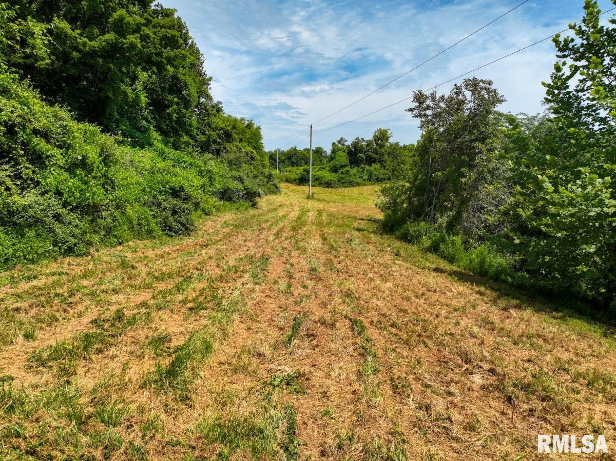 0 Robinson Hill Road Makanda, IL 62958 - Photo 16 of 29