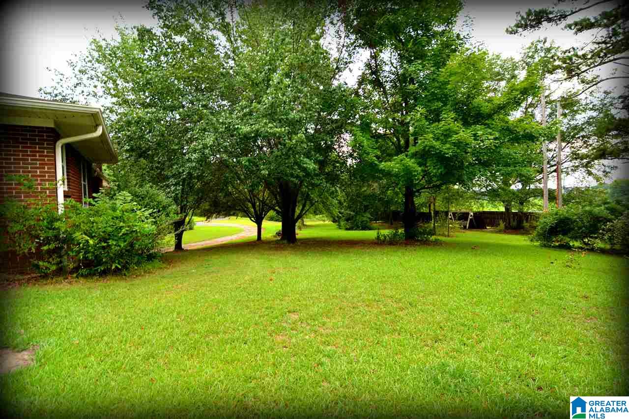128 Rabbit Branch Road Cropwell, AL 35054 - Photo 10 of 50