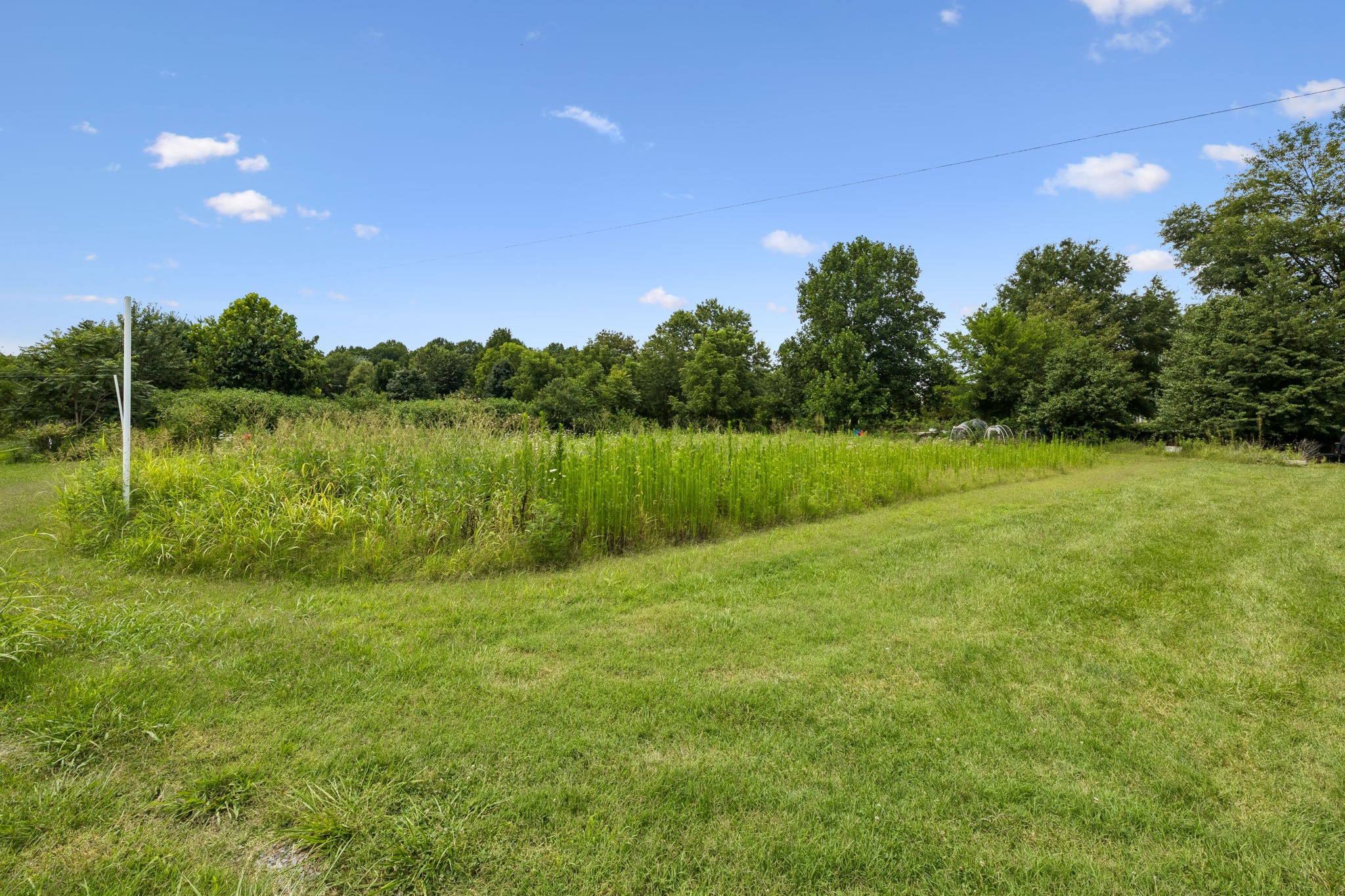 3384 Maxie Jones Road Springfield, TN 37172 - Photo 50 of 66
