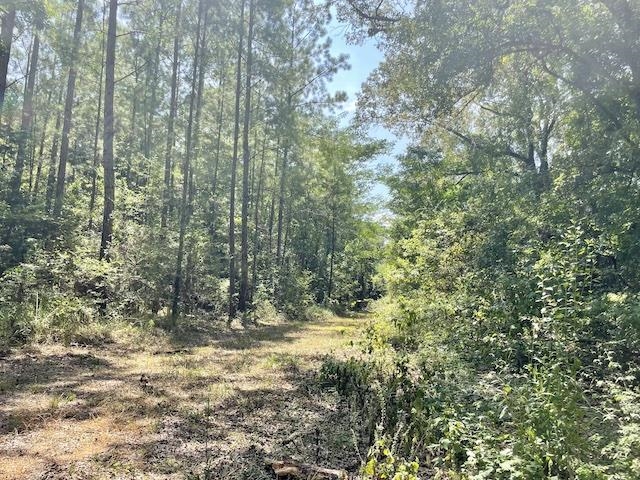 71290 Ralph Gantt Road Little River, AL 36550 - Photo 24 of 31
