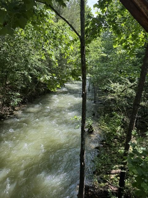 2784 Fiery Gizzard Road South Pittsburg, TN 37380 - Photo 2 of 19 Hankins 5