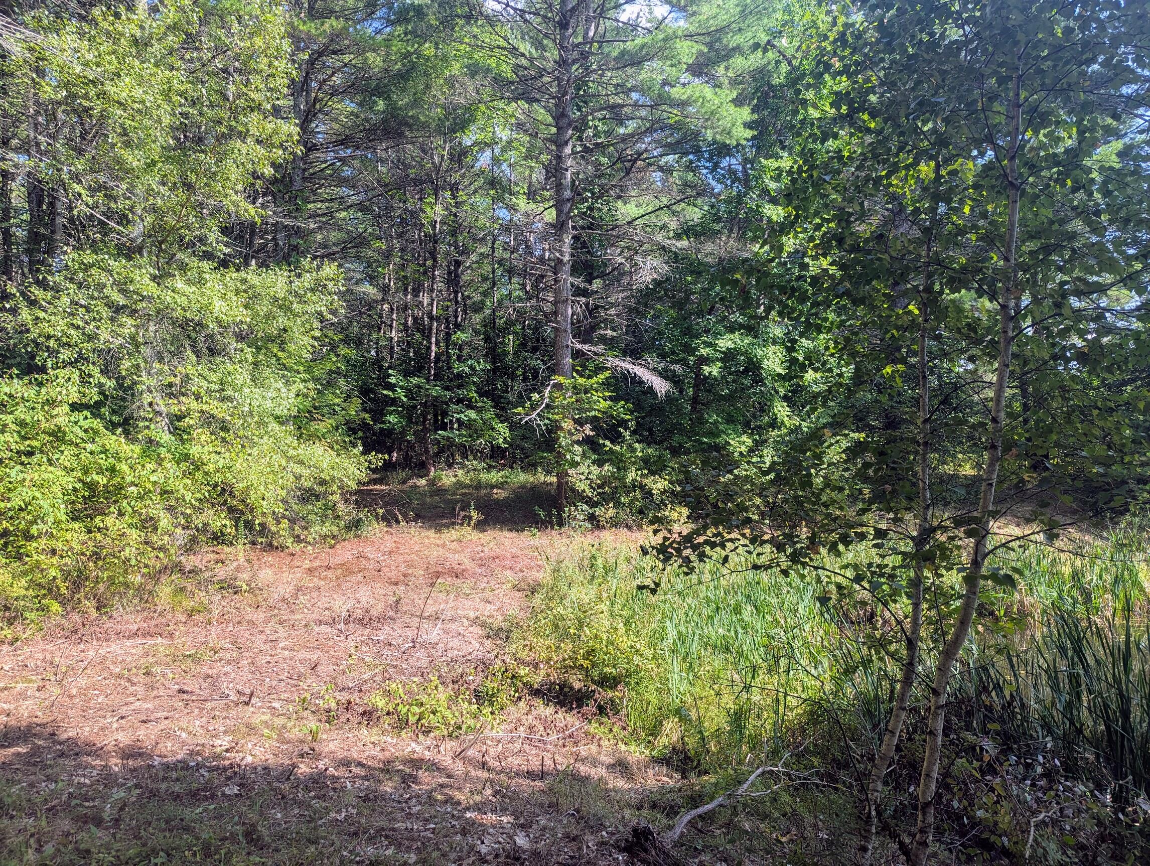 200 South Hunts Meadow Road Whitefield, ME 04353 - Photo 16 of 23 PXL_20260908_181140691 (1)