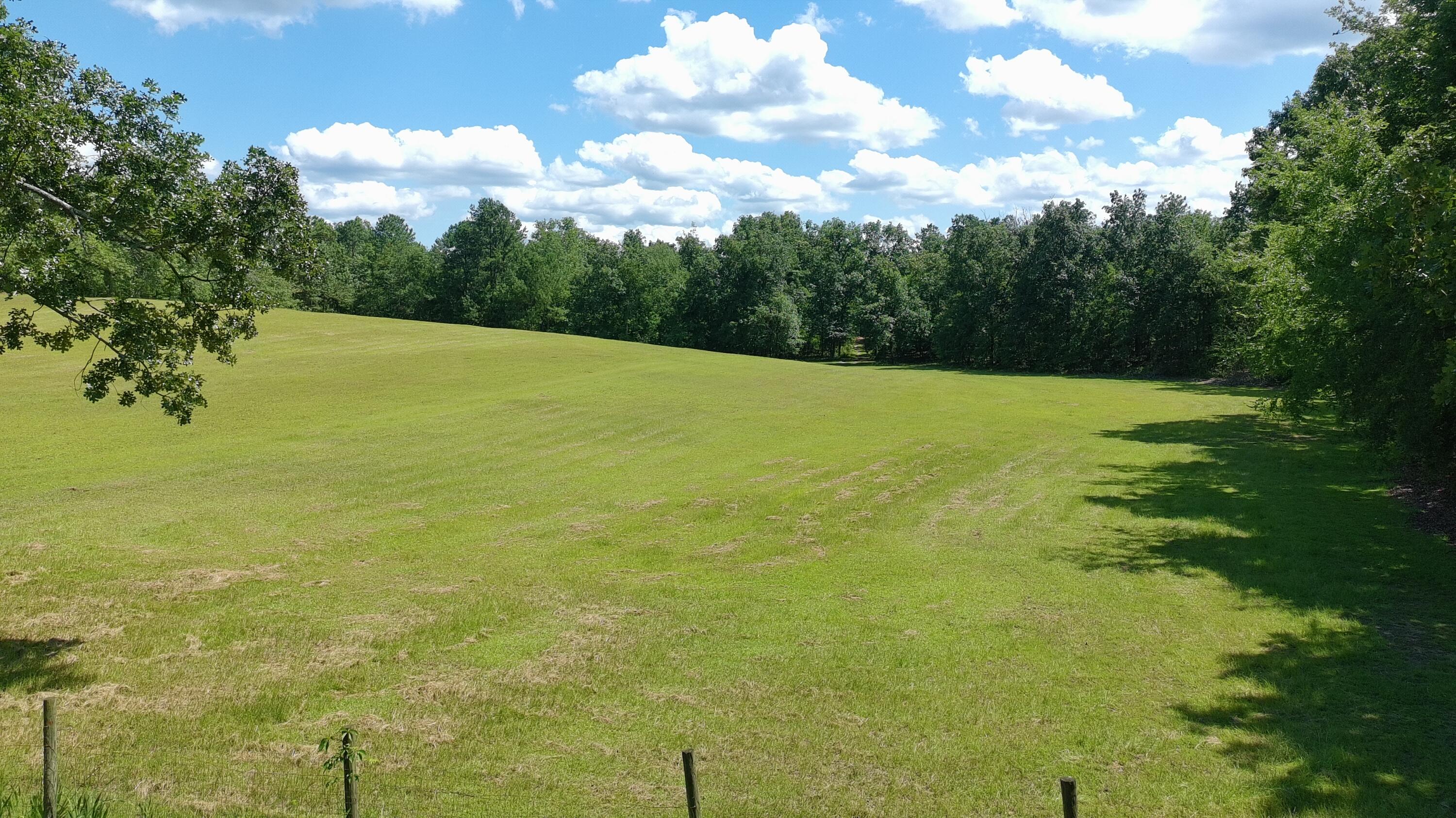 41-acres Whiskey Road Aiken, SC 29803 - Photo 40 of 44