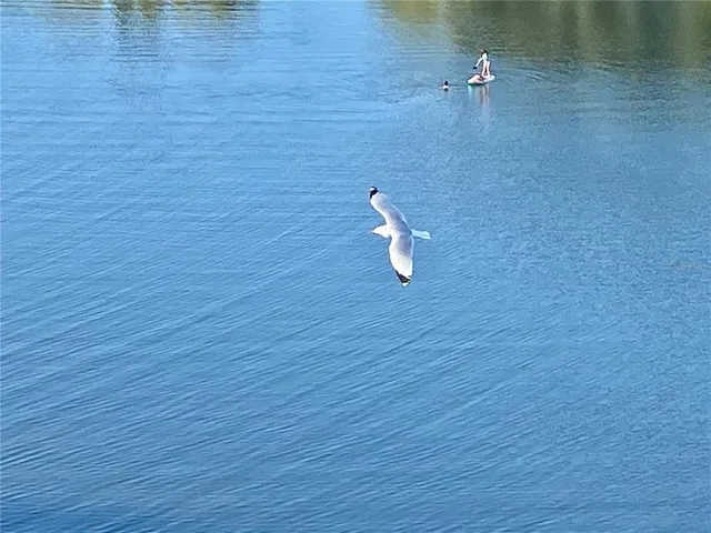 $3,500 | 6035 Sea Ranch Drive, Unit 901, Hudson, FL 34667