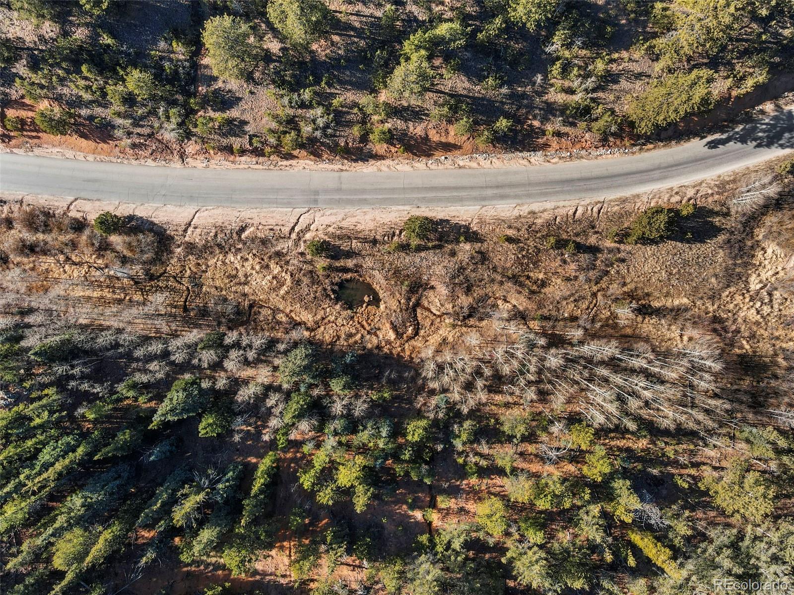 114 Hall Road Bailey, CO 80421 - Photo 19 of 21